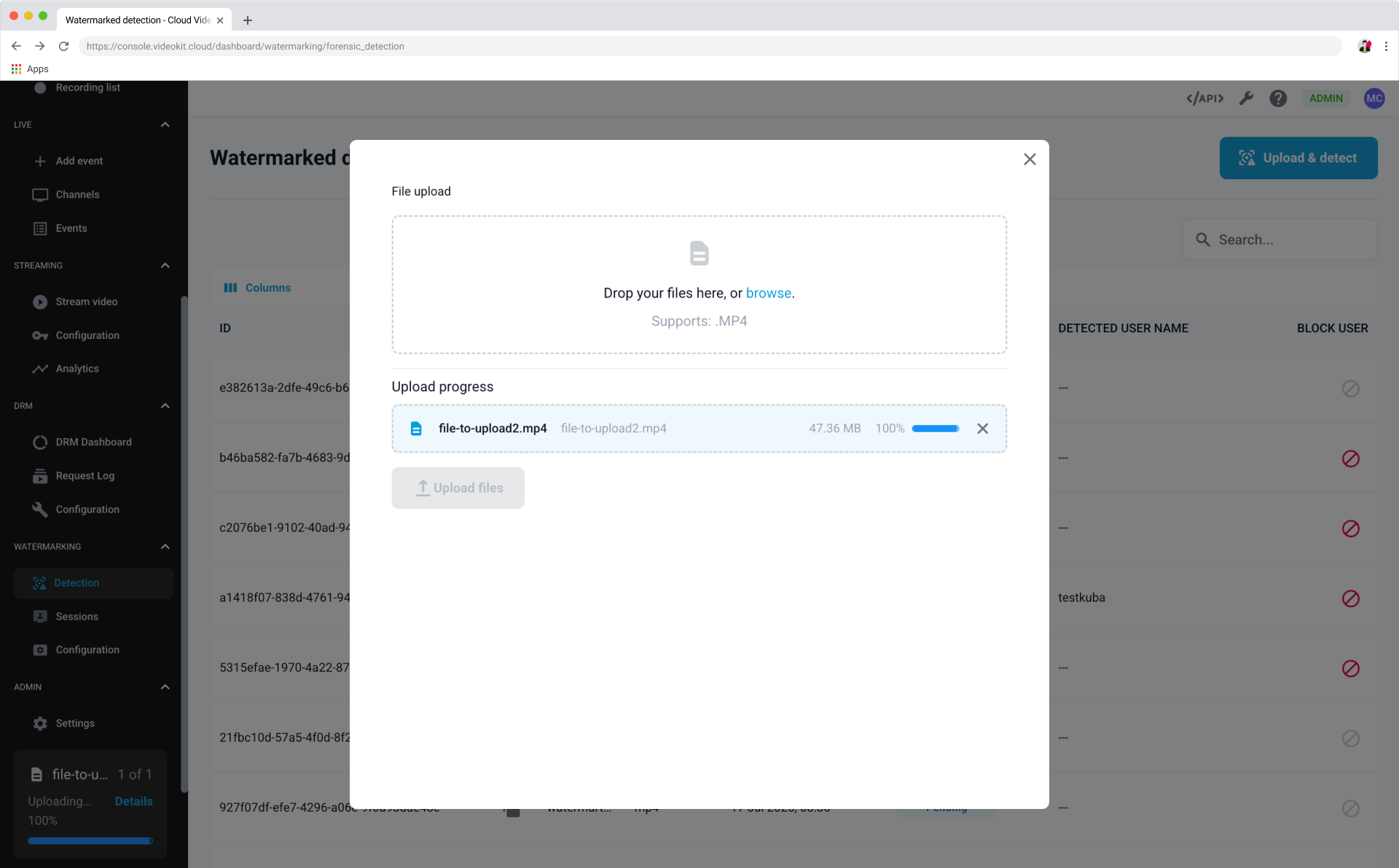 Watermarking Upload and Detect Modal
