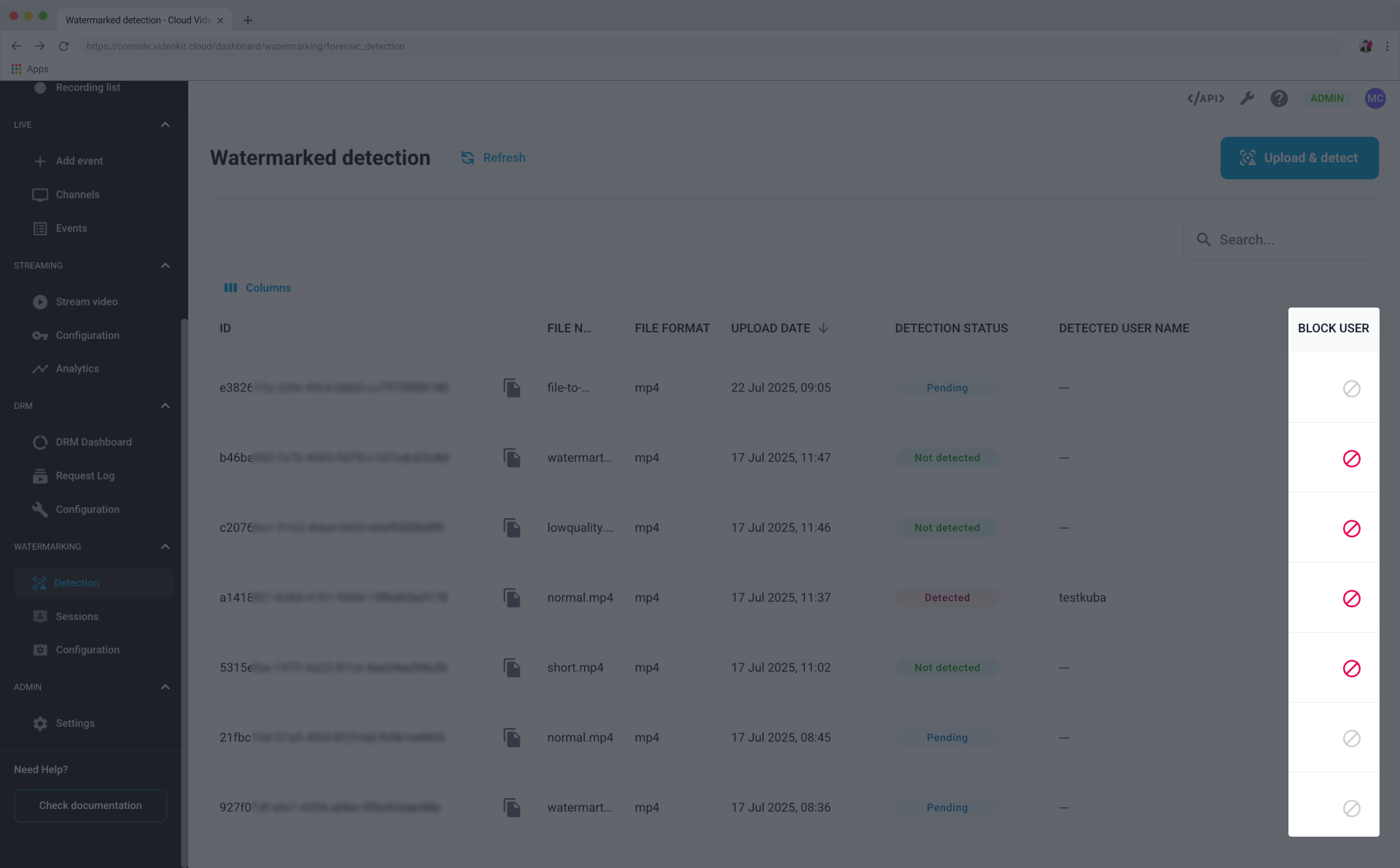 Watermarking Detection Block