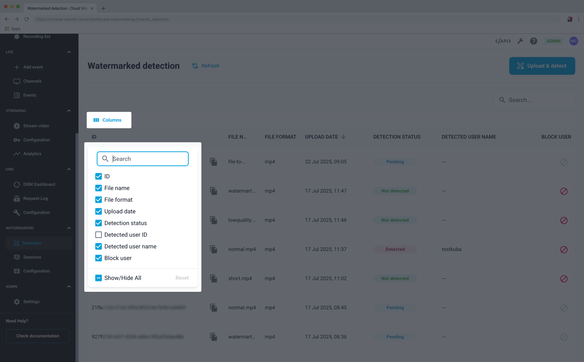Watermarking Detection Filter Columns