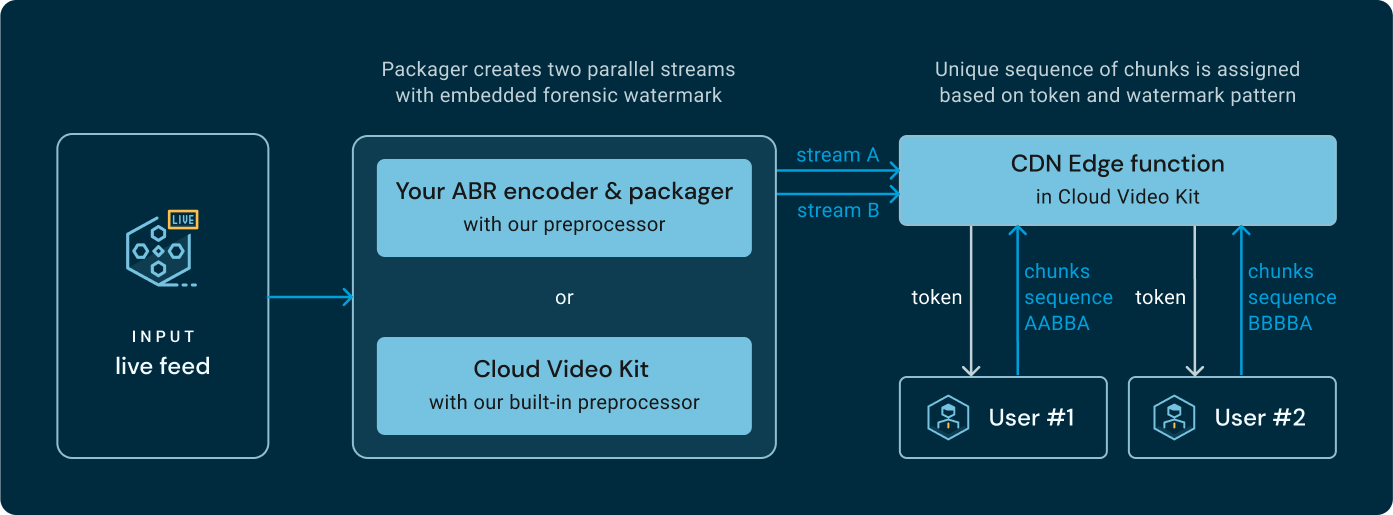 Forensic Watermarking